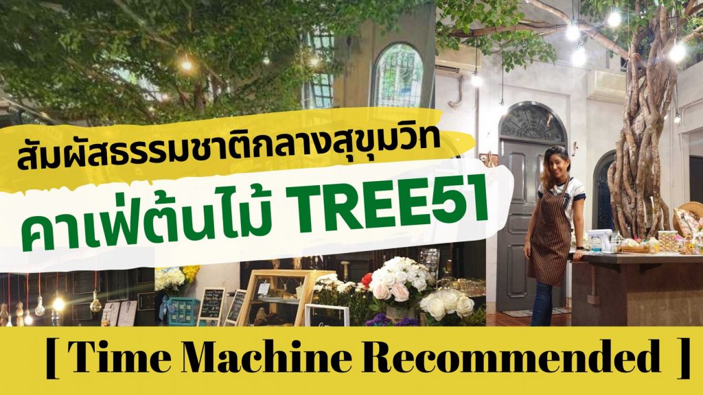 Recommended – สัมผัสธรรมชาติกลางสุขุมวิท คาเฟ่ต้นไม้ Tree51