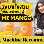 Recommended – ขนมะม่วงมาทั้งสวน อะไรก็เป็นมะม่วงได้ที่ Make Me Mango