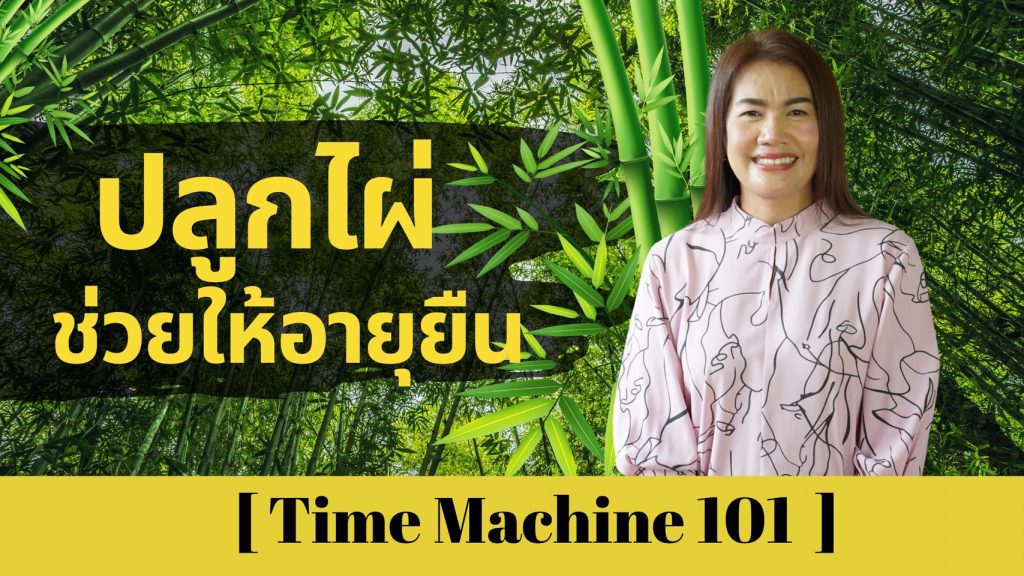 ปลูกไผ่ช่วยให้อายุยืน – Time Machine 101