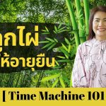 ปลูกไผ่ช่วยให้อายุยืน – Time Machine 101