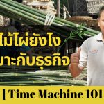 เลือกไม้ไผ่ยังไงให้เหมาะกับธุรกิจ – Time Machine 101